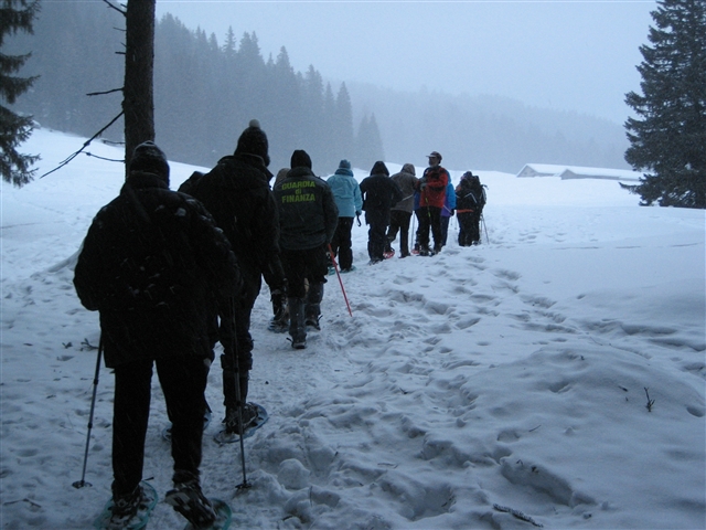 Una colonna di coraggiosi si avventura sulla neve, tra gli impervi boschi della Val Venegia. Davanti a loro, il paesaggio si perde in una nebbiolina molto suggestiva.